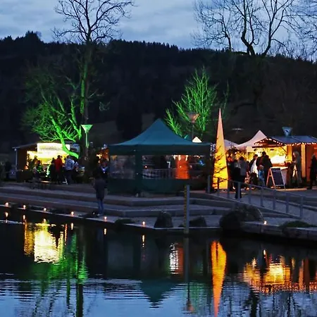 Mit Sauna Am Alpsee